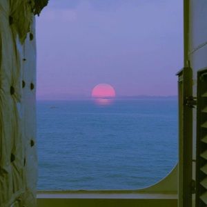 Meet your Posher, Daisy